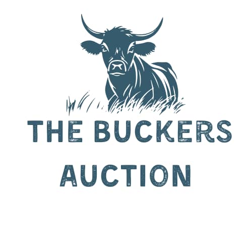 The Buckers Auctions